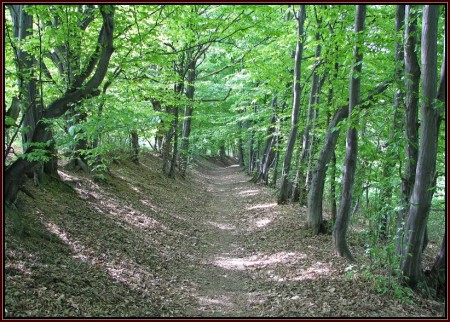 Bojnice - Osičina I